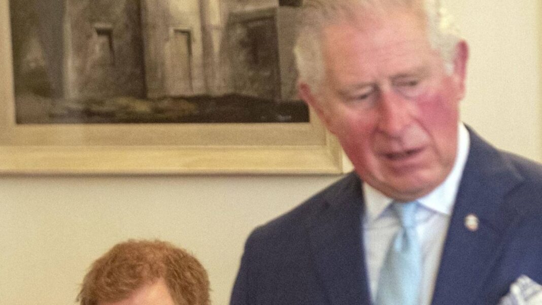 koenig-charles-iii.-und-prinz-harry:-wer-steht-der-versoehnung-im-weg? koenig-charles-iii.-und-prinz-harry:-wer-steht-der-versoehnung-im-weg?