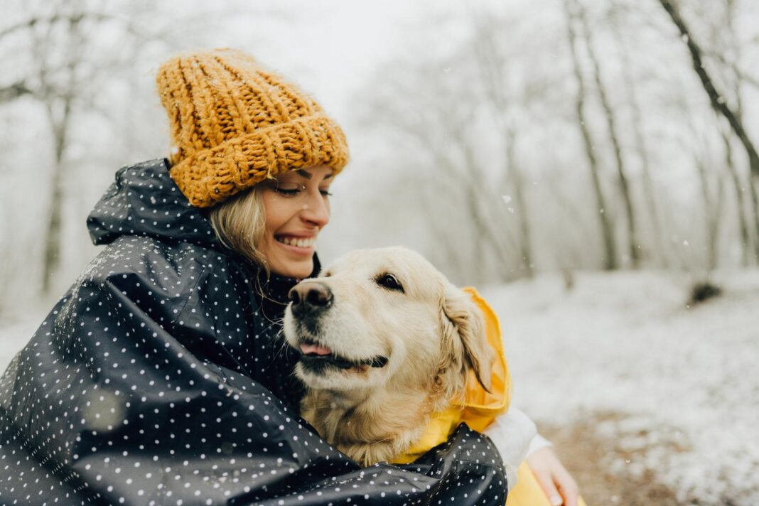 mensch-hund-beziehung:-wie-soziale-und-umweltfaktoren-sie-beeinflussen