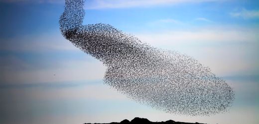 agilitaet:-buzzword-ohne-inhalt-–-eine-wutrede agilitaet:-buzzword-ohne-inhalt-–-eine-wutrede