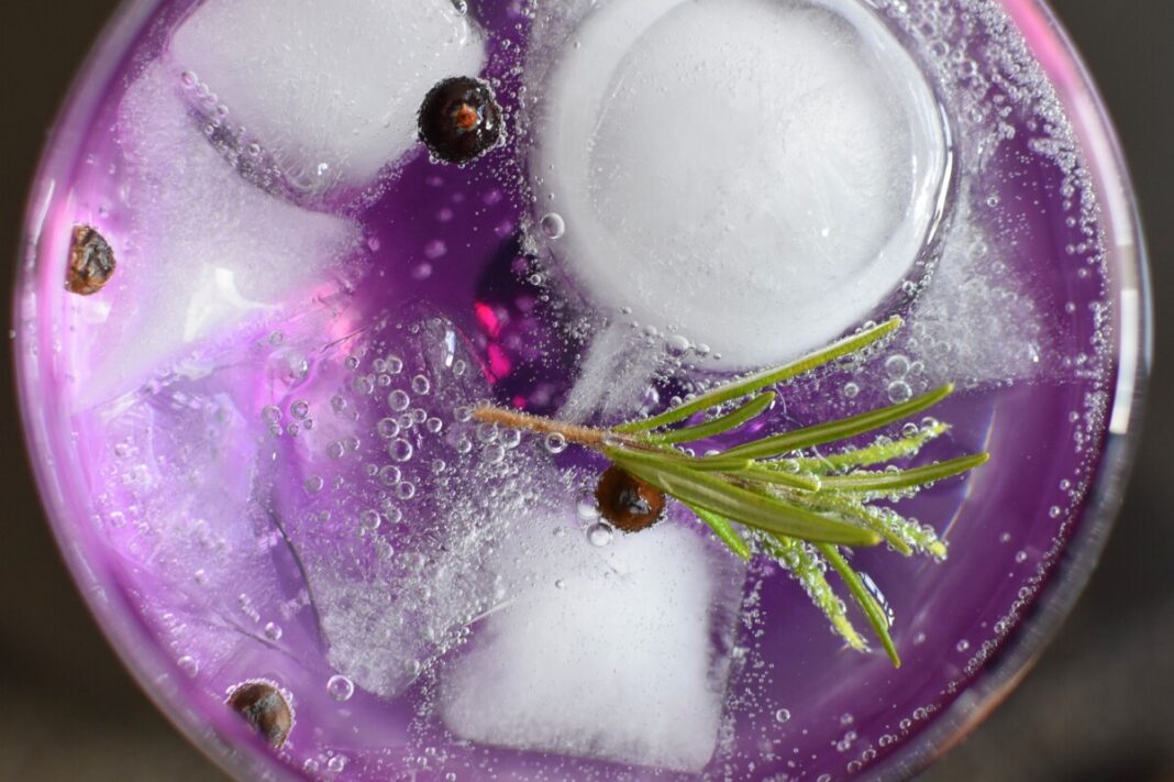 gin-kaufen-–-was-sollte-man-ueber-wacholder-schnaps-wissen? gin-kaufen-–-was-sollte-man-ueber-wacholder-schnaps-wissen?
