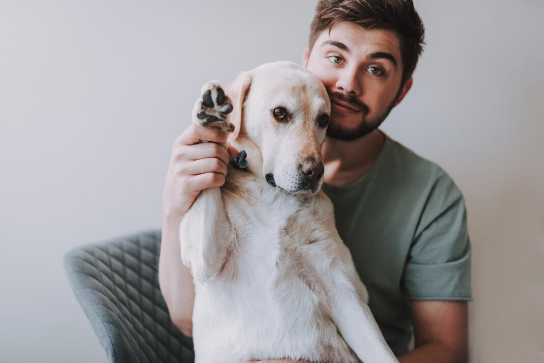 hunde-haben-mehr-geduld-fuer-ungeschickte-als-gemeine-menschen
