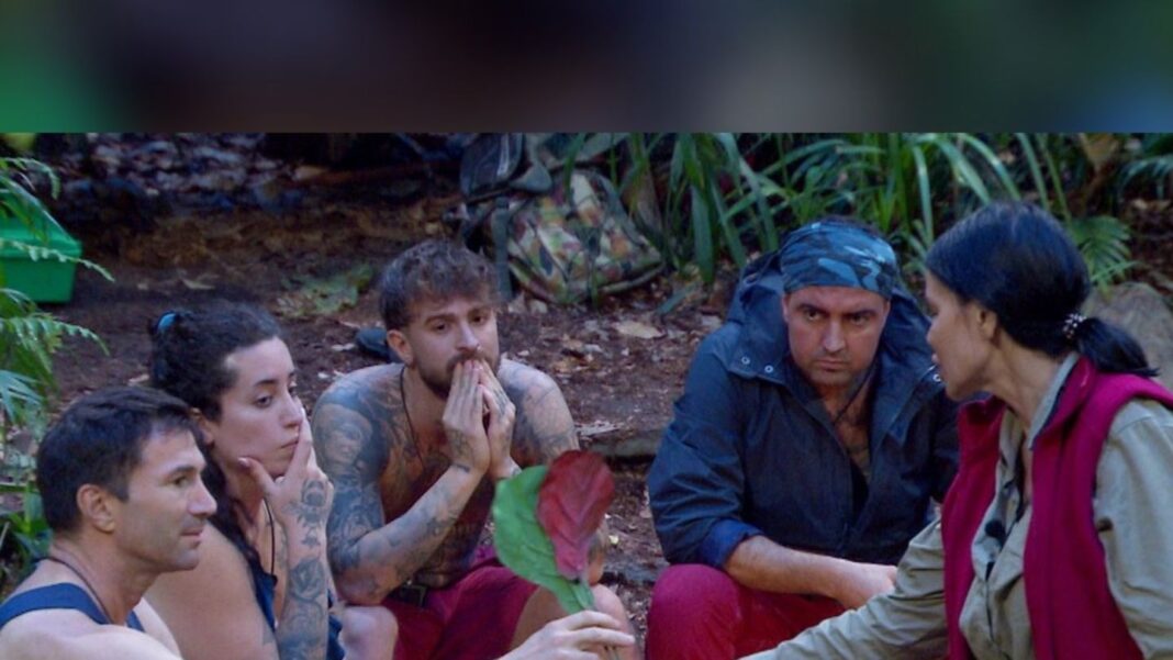 “ich-bin-ein-star-–-holt-mich-hier-raus!”:-viele-reibereien-kurz-vor-dem-finale