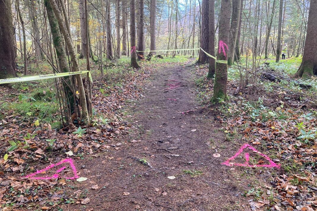 gold-crosslauf-in-kenia-ohne-wm-starter