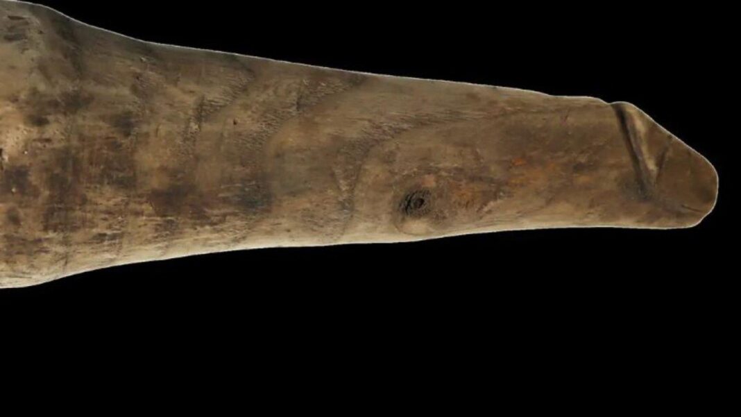 bestes-stueck:-dieser-holzphallus-koennte-ein-fruehes-sexspielzeug-sein bestes-stueck:-dieser-holzphallus-koennte-ein-fruehes-sexspielzeug-sein