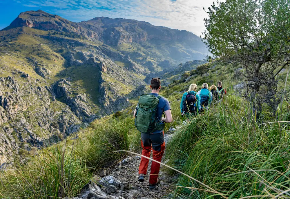 wandern-auf-mallorca-zwischen-buchten,-bergen-und-olivenhainen wandern-auf-mallorca-zwischen-buchten,-bergen-und-olivenhainen