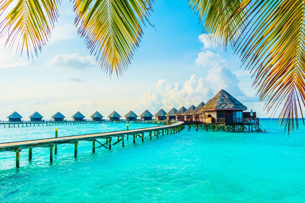 inselparadies-malediven-–-welches-eiland-ist-das-beste-fuer-einen-urlaub? inselparadies-malediven-–-welches-eiland-ist-das-beste-fuer-einen-urlaub?