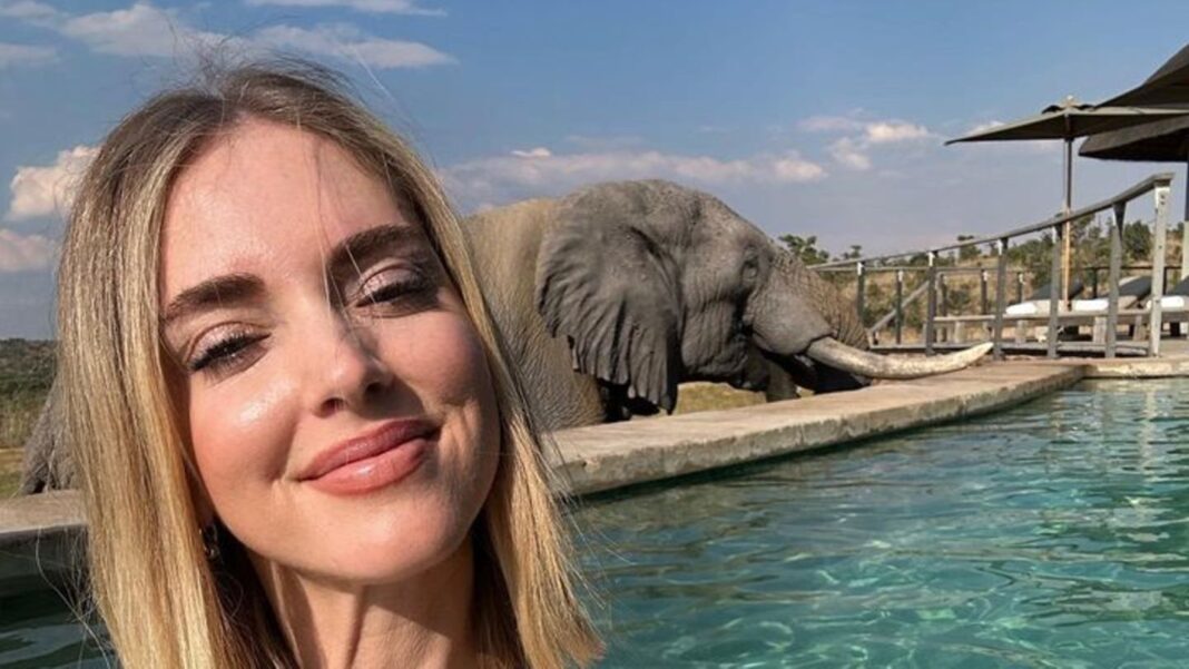 tierfreunde:-chiara-ferragni-teilt-den-pool-mit-einem-elefanten